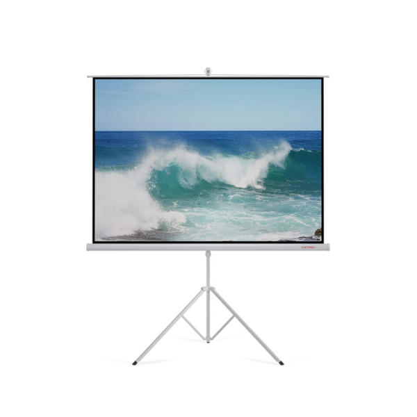 Portable Projector Screen